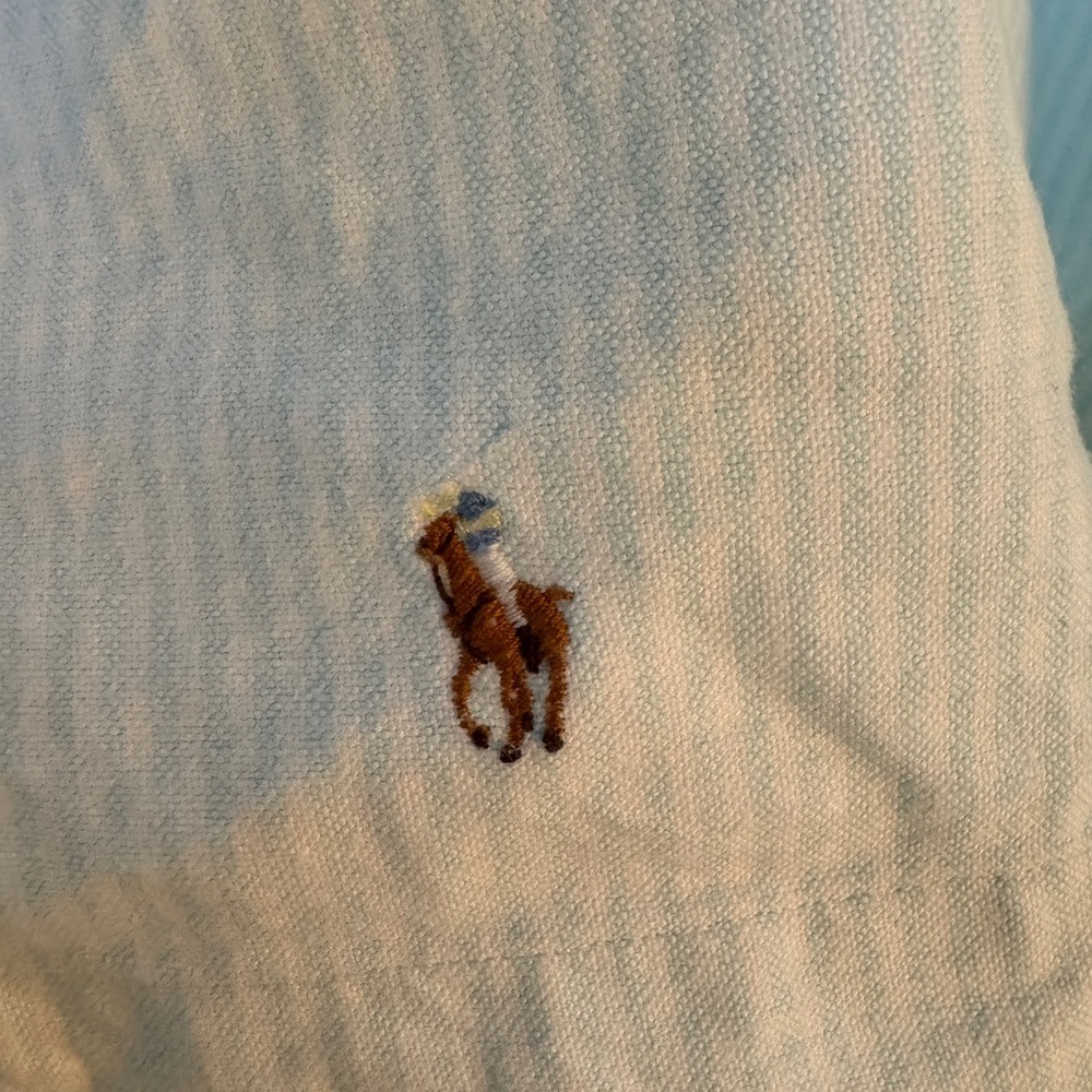 Ralph Lauren Blue Label Blue and White Striped Polo Shirt
Size Medium - Picture 5 of 6